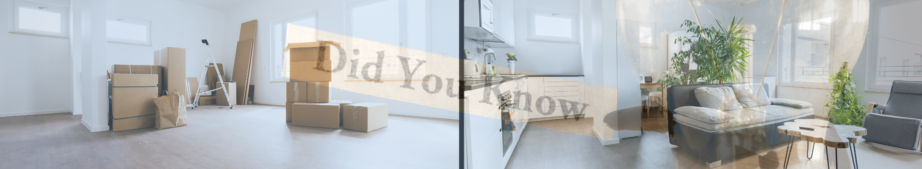 Free Intelli Design Homes guide for building or renovating