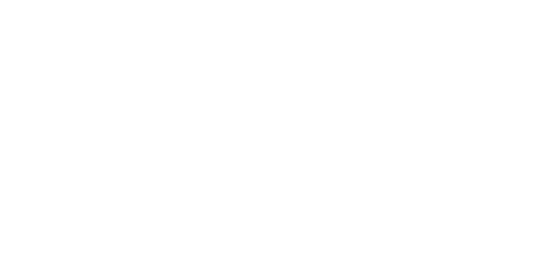 Intelli Design Homes - White Logo